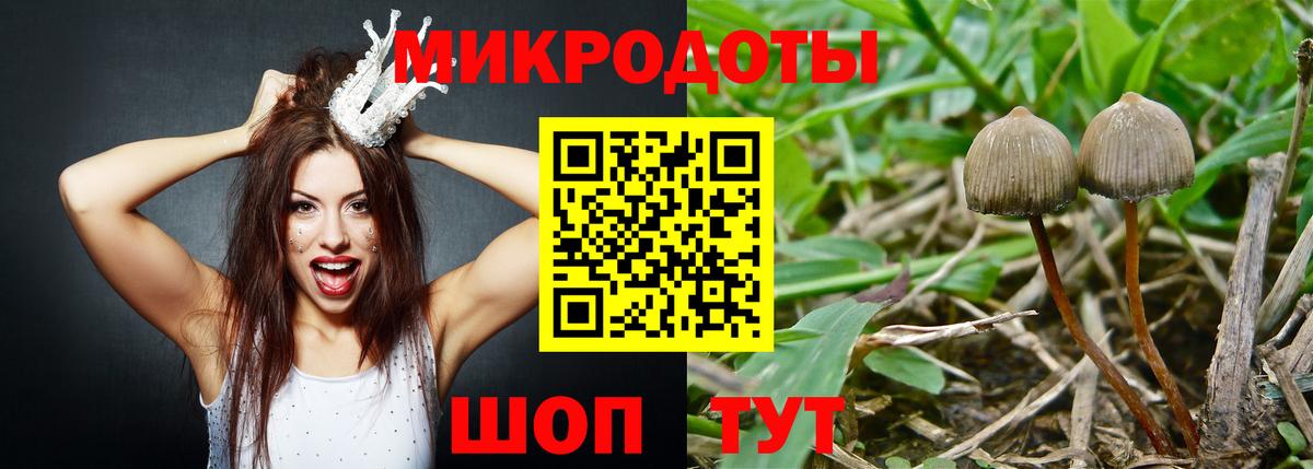 Галлюциногенные грибы мухоморы Тверь