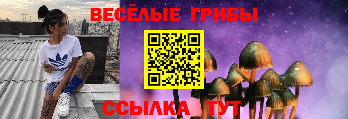 Псилоцибиновые грибы Psilocybe  Галлюциногенные грибы Psilocybine cubensis  Вход с VPN  Тверь 
